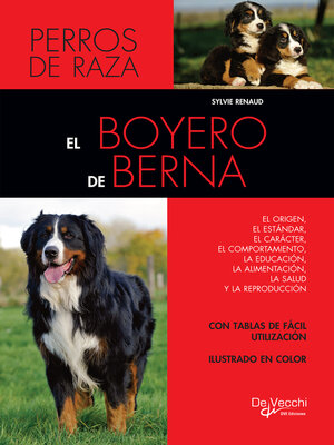 cover image of El boyero de Berna